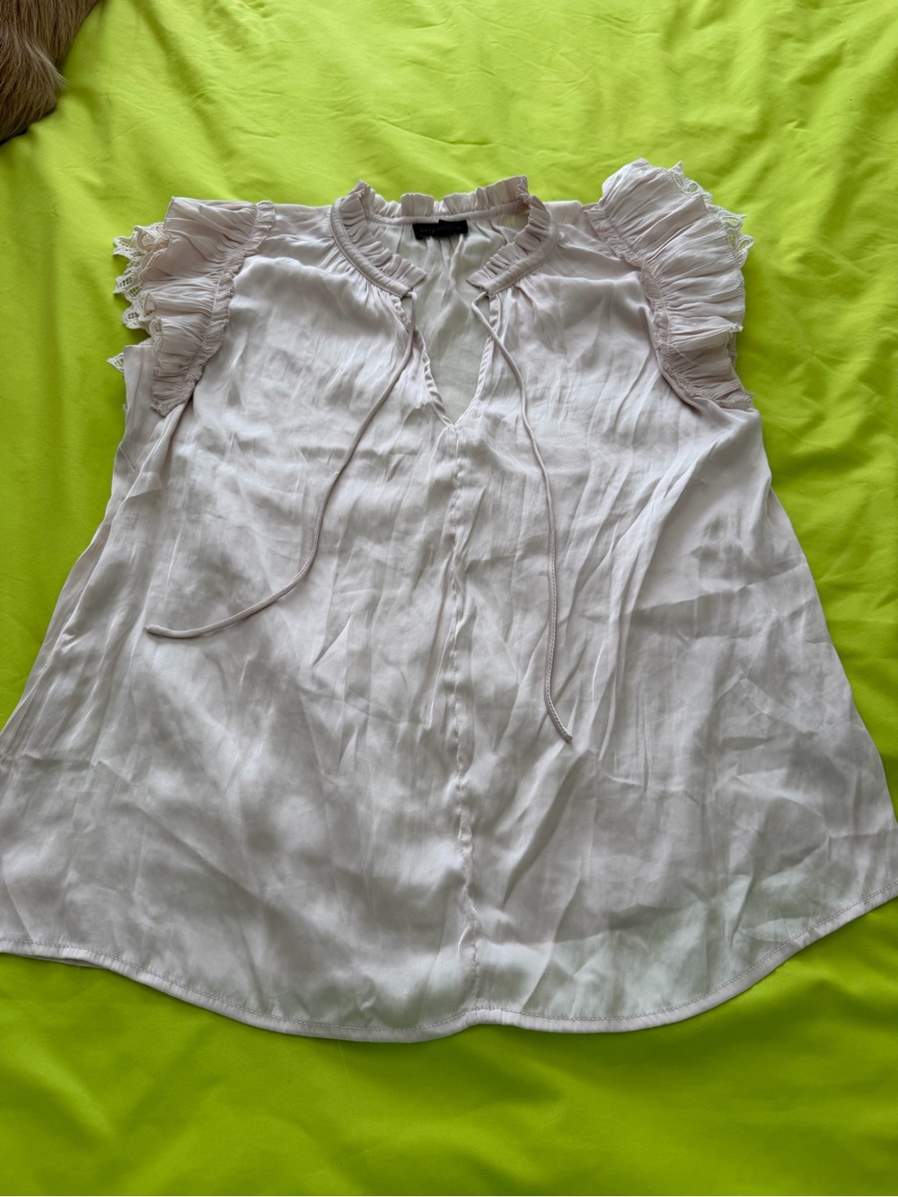 Current Air Pale Blush Ruffled Sleeve Blouse